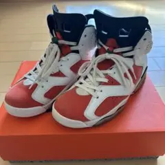 ナイキ エアジョーダン6 レトロ ゲータレード ライク マイク ホワイト