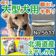 大型犬用 エゾ鹿の角 根元 半割り1本 北海道産 犬のおもちゃ 56117のサムネイル