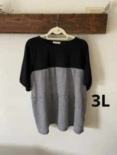 【大きいサイズ】切り替えプルオーバー　3L ④のサムネイル
