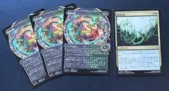 陰湿な根　mtg