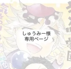 専用ページ