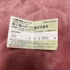 株主優待券 スノボ