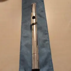 Item thumbnail for item b5046f17-9ca4-4f11-a359-2604f4a2eb1a