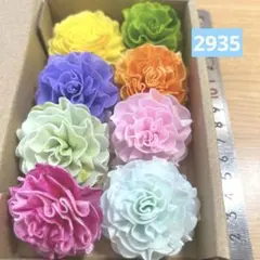 ソラフラワー　2935のサムネイル