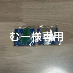 むー様専用 犬記録