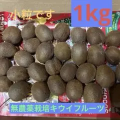 無農薬栽培キウイフルーツ