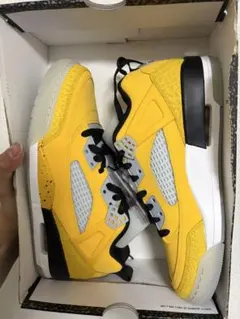 ジョーダン　スパイジーク