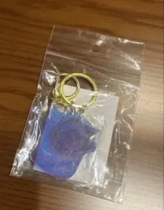 namco ナムコ ポケモン キャンペーン くじ アクリルキーホルダー ゲンガー