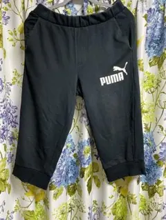 Item thumbnail for item d22497ba-6c3d-46b6-a262-b26030c0f003