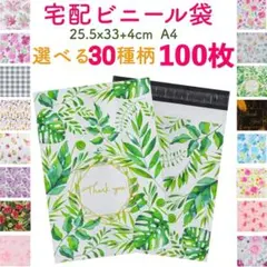 Item thumbnail for item ccdbc092-5656-4627-be3a-3b012a992a70