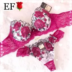 EFカップ❤️ロージー刺繍♥️全8色♬ブラジャー&Tバック上下セット✨エメフィール系
