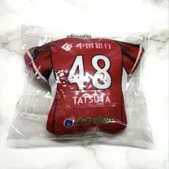 ファジアーノ岡山 ユニフォームクッション 立田悠悟