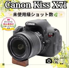 ⭐️ショット数920回⭐️Canon Kiss X7i 一眼レフ 初心者 キャノン