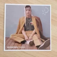 SEVENTEEN 舞い落ちる花びら エントリーカード ホシ