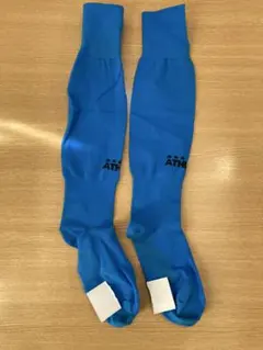 Item thumbnail for item d3a938aa-9518-4d49-b471-7536b5ddbe69