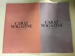 SEVENTEENセブチ会報誌 vol.14 15 セット