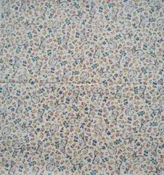 Item thumbnail for item 3613da59-792f-4831-a198-5b52035020b4