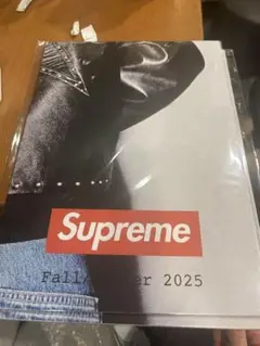 Supreme Fall/Winter 2025 おまけ