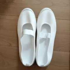 ホワイト デイケア　スクール　バレーシューズ 25.0cm