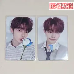 ジャンハオ タレントカード