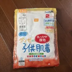 GUNZE 男児 子供肌着 長袖丸首 160cm 2枚組