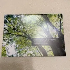 Item thumbnail for item 3ea5ec83-b15b-4fab-8bab-bc9914c51270