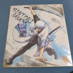 銀魂　色紙　色紙art　坂田銀時　未開封