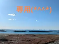 Item thumbnail for item f22aa489-cd0d-43f2-a04e-9e0db011084e