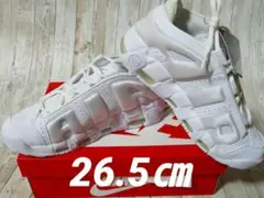 Item thumbnail for item d3086c04-c181-4d57-8462-98c8d1236a24