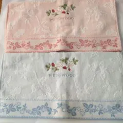 Item thumbnail for item 4547c654-c40f-40ba-9a50-72efb8ca23f1