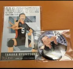ハイキュー‼︎ 田中龍之介 2点 セット アニメイト特典 缶バッジ