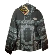 ノースフェイス マウンテンジャケット ゴアテックス ペイズリー XL ブラック