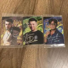 RIZIN サイン入りトレーディングカードセット