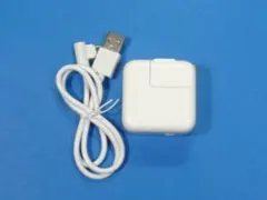 iPad iPod iPhone  10W ケーブル付(非純正) A1357