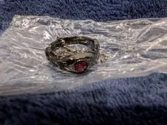 Item thumbnail for item 4420d0f0-f17e-4130-939b-fa5ec2d4feae