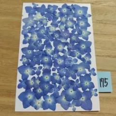 Item thumbnail for item 87413d23-b347-4e13-a86e-302faa3650a1