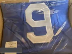 Item thumbnail for item 70ba5da7-58d6-45e9-a56c-2b50d6b20ea6