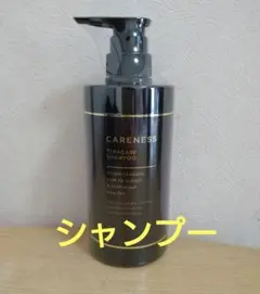 CARENESS ケアネス テラケアシャンプー500mlのサムネイル