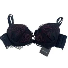 ys22 新品 Ravijour ラヴィジュール レース ブラジャー 黒 C65