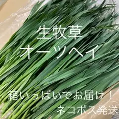 Item thumbnail for item 77209254-ff1a-46f1-9459-a03266cfdad3