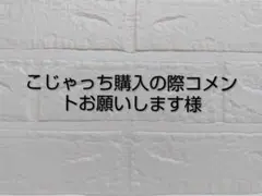 【こじゃっち購入の際コメントお願いします様】専用