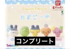 たまごっち カプセルフロッキーズ 5種 コンプリート