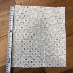 Item thumbnail for item f66f2ca5-1002-4892-b4b5-5b82bf878da3