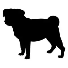 紫木蓮様 リクエスト 2点 まとめ商品