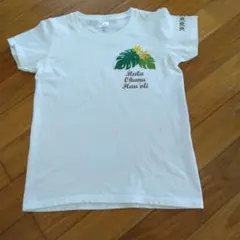 Item thumbnail for item c2b711cb-d412-427a-903b-02a84048640b