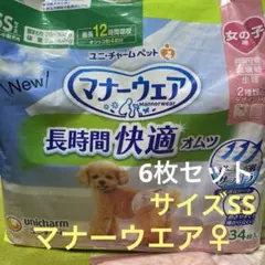 Item thumbnail for item cb453e9a-2707-477e-a2f8-0d0b7390ee72