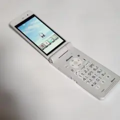 Panasonic P-01H 折りたたみ式携帯電話 3G ワンセグ対応　白