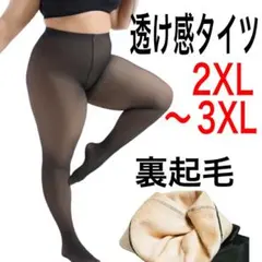 フェイクタイツ　裏起毛　プラスサイズ　1200デニール相当　厚手　極暖