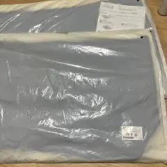 2026年最新】トゥルースリーパー ミニの人気アイテム - メルカリ