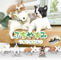 21// ふちやすみ いろいろわんこ／2種